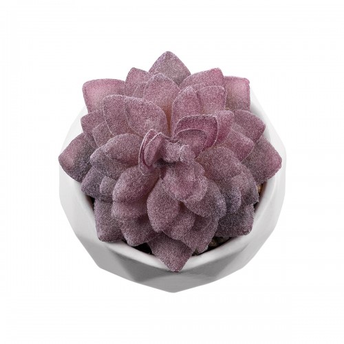 GloboStar® Artificial Garden SUCCULENT SEDEVERIA 21005 Διακοσμητικό Φυτό Παχύφυτο Σεντεβέρια Υ8cm Διακόσμηση - Φως - Χαλιά GloboStar® Artificial Garden SUCCULENT SEDEVERIA 21005 Διακοσμητικό Φυτό Παχύφυτο Σεντεβέρια Υ8cm Διακόσμηση - Φως - Χαλιά