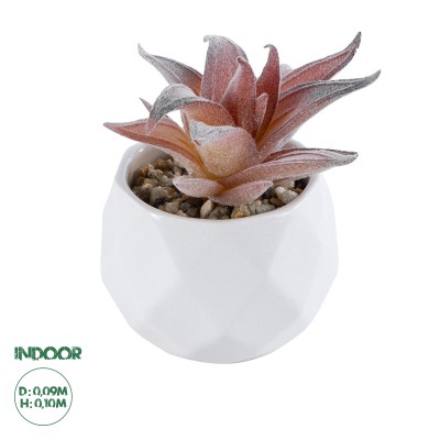 GloboStar® Artificial Garden SUCCULENT ALOE 21006 Διακοσμητικό Φυτό Παχύφυτο Αλόη Υ10cm GloboStar® Artificial Garden SUCCULENT ALOE 21006 Διακοσμητικό Φυτό Παχύφυτο Αλόη Υ10cm
