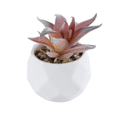 GloboStar® Artificial Garden SUCCULENT ALOE 21006 Διακοσμητικό Φυτό Παχύφυτο Αλόη Υ10cm GloboStar® Artificial Garden SUCCULENT ALOE 21006 Διακοσμητικό Φυτό Παχύφυτο Αλόη Υ10cm