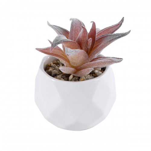 GloboStar® Artificial Garden SUCCULENT ALOE 21006 Διακοσμητικό Φυτό Παχύφυτο Αλόη Υ10cm GloboStar® Artificial Garden SUCCULENT ALOE 21006 Διακοσμητικό Φυτό Παχύφυτο Αλόη Υ10cm