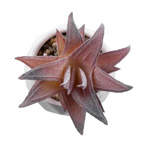 GloboStar® Artificial Garden SUCCULENT ALOE 21006 Διακοσμητικό Φυτό Παχύφυτο Αλόη Υ10cm GloboStar® Artificial Garden SUCCULENT ALOE 21006 Διακοσμητικό Φυτό Παχύφυτο Αλόη Υ10cm