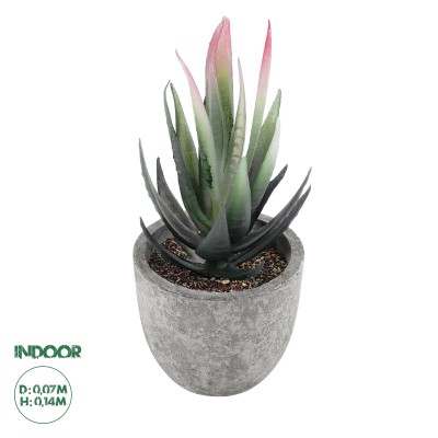 GloboStar® Artificial Garden SUCCULENT ALOE 21008 Διακοσμητικό Φυτό Παχύφυτο Αλόη Υ14cm GloboStar® Artificial Garden SUCCULENT ALOE 21008 Διακοσμητικό Φυτό Παχύφυτο Αλόη Υ14cm