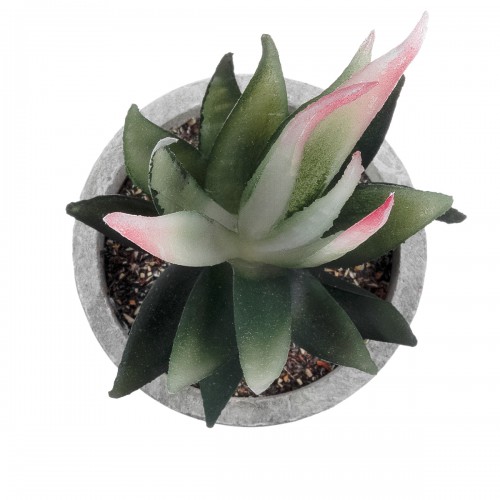 GloboStar® Artificial Garden SUCCULENT ALOE 21008 Διακοσμητικό Φυτό Παχύφυτο Αλόη Υ14cm GloboStar® Artificial Garden SUCCULENT ALOE 21008 Διακοσμητικό Φυτό Παχύφυτο Αλόη Υ14cm