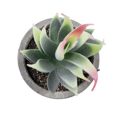 GloboStar® Artificial Garden SUCCULENT ALOE 21009 Διακοσμητικό Φυτό Παχύφυτο Αλόη Υ14cm GloboStar® Artificial Garden SUCCULENT ALOE 21009 Διακοσμητικό Φυτό Παχύφυτο Αλόη Υ14cm