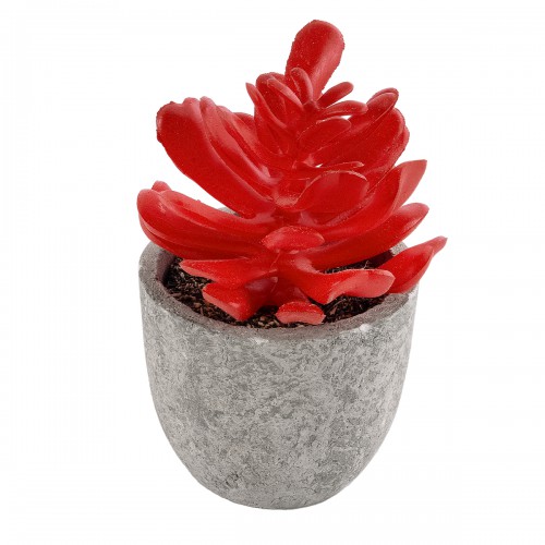 GloboStar® Artificial Garden SUCCULENT CRASSULA 21013 Διακοσμητικό Φυτό Παχύφυτο Κράσουλα Υ11.5cm GloboStar® Artificial Garden SUCCULENT CRASSULA 21013 Διακοσμητικό Φυτό Παχύφυτο Κράσουλα Υ11.5cm