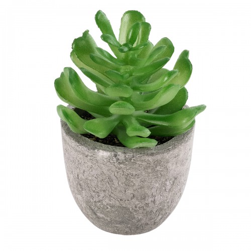 GloboStar® Artificial Garden SUCCULENT CRASSULA 21014 Διακοσμητικό Φυτό Παχύφυτο Κράσουλα Υ11.5cm GloboStar® Artificial Garden SUCCULENT CRASSULA 21014 Διακοσμητικό Φυτό Παχύφυτο Κράσουλα Υ11.5cm