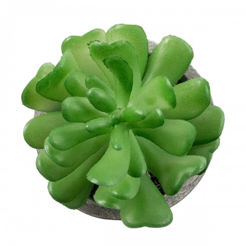 GloboStar® Artificial Garden SUCCULENT CRASSULA 21014 Διακοσμητικό Φυτό Παχύφυτο Κράσουλα Υ11.5cm GloboStar® Artificial Garden SUCCULENT CRASSULA 21014 Διακοσμητικό Φυτό Παχύφυτο Κράσουλα Υ11.5cm