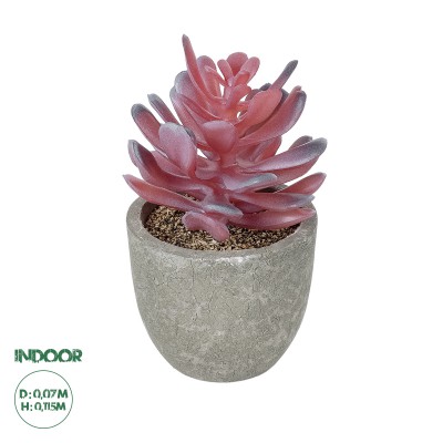 GloboStar® Artificial Garden SUCCULENT CRASSULA POTTED PLANT 21015 Διακοσμητικό Φυτό Κρασούλα Φ7 x Υ11,5cm GloboStar® Artificial Garden SUCCULENT CRASSULA POTTED PLANT 21015 Διακοσμητικό Φυτό Κρασούλα Φ7 x Υ11,5cm