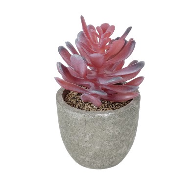 GloboStar® Artificial Garden SUCCULENT CRASSULA POTTED PLANT 21015 Διακοσμητικό Φυτό Κρασούλα Φ7 x Υ11,5cm GloboStar® Artificial Garden SUCCULENT CRASSULA POTTED PLANT 21015 Διακοσμητικό Φυτό Κρασούλα Φ7 x Υ11,5cm