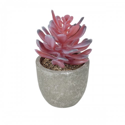 GloboStar® Artificial Garden SUCCULENT CRASSULA POTTED PLANT 21015 Διακοσμητικό Φυτό Κρασούλα Φ7 x Υ11,5cm GloboStar® Artificial Garden SUCCULENT CRASSULA POTTED PLANT 21015 Διακοσμητικό Φυτό Κρασούλα Φ7 x Υ11,5cm
