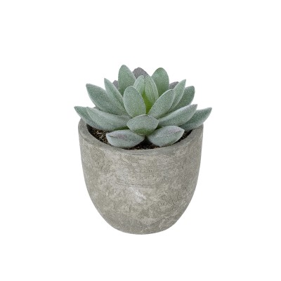 GloboStar® Artificial Garden SUCCULENT SEDEVERIA POTTED PLANT 21016 Διακοσμητικό Φυτό Σεδεβέρια Φ7 x Υ8cm GloboStar® Artificial Garden SUCCULENT SEDEVERIA POTTED PLANT 21016 Διακοσμητικό Φυτό Σεδεβέρια Φ7 x Υ8cm