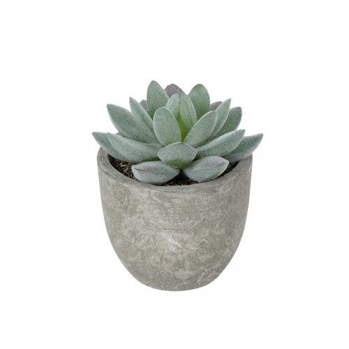 GloboStar® Artificial Garden SUCCULENT SEDEVERIA POTTED PLANT 21016 Διακοσμητικό Φυτό Σεδεβέρια Φ7 x Υ8cm GloboStar® Artificial Garden SUCCULENT SEDEVERIA POTTED PLANT 21016 Διακοσμητικό Φυτό Σεδεβέρια Φ7 x Υ8cm