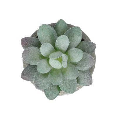 GloboStar® Artificial Garden SUCCULENT SEDEVERIA POTTED PLANT 21016 Διακοσμητικό Φυτό Σεδεβέρια Φ7 x Υ8cm GloboStar® Artificial Garden SUCCULENT SEDEVERIA POTTED PLANT 21016 Διακοσμητικό Φυτό Σεδεβέρια Φ7 x Υ8cm