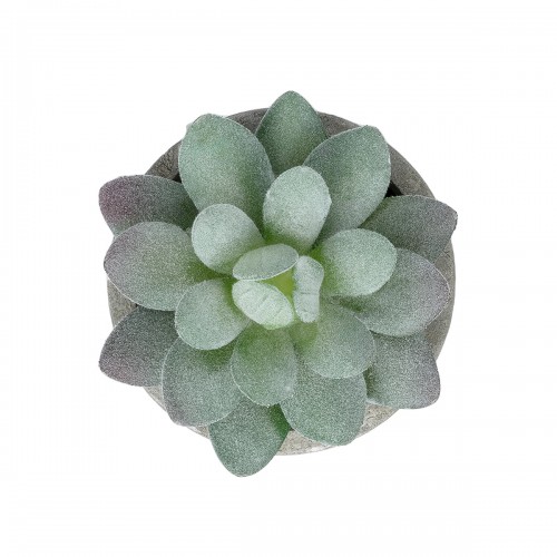 GloboStar® Artificial Garden SUCCULENT SEDEVERIA POTTED PLANT 21016 Διακοσμητικό Φυτό Σεδεβέρια Φ7 x Υ8cm GloboStar® Artificial Garden SUCCULENT SEDEVERIA POTTED PLANT 21016 Διακοσμητικό Φυτό Σεδεβέρια Φ7 x Υ8cm