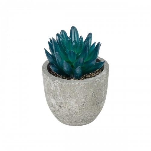 GloboStar® Artificial Garden SUCCULENT SEDEVERIA POTTED PLANT 21018 Διακοσμητικό Φυτό Σεδεβέρια  Φ6,5 x Υ9cm