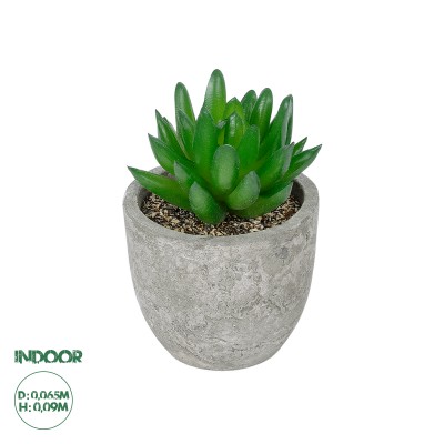 GloboStar® Artificial Garden SUCCULENT SEDEVERIA POTTED PLANT 21019 Διακοσμητικό Φυτό Σεδεβέρια Φ6,5 x Υ9cm GloboStar® Artificial Garden SUCCULENT SEDEVERIA POTTED PLANT 21019 Διακοσμητικό Φυτό Σεδεβέρια Φ6,5 x Υ9cm
