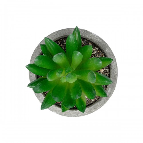 GloboStar® Artificial Garden SUCCULENT SEDEVERIA POTTED PLANT 21019 Διακοσμητικό Φυτό Σεδεβέρια Φ6,5 x Υ9cm GloboStar® Artificial Garden SUCCULENT SEDEVERIA POTTED PLANT 21019 Διακοσμητικό Φυτό Σεδεβέρια Φ6,5 x Υ9cm
