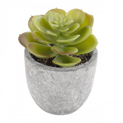 GloboStar® Artificial Garden SUCCULENT SEDEVERIA 21021 Διακοσμητικό Φυτό Παχύφυτο Σεντεβέρια Υ8.5cm GloboStar® Artificial Garden SUCCULENT SEDEVERIA 21021 Διακοσμητικό Φυτό Παχύφυτο Σεντεβέρια Υ8.5cm