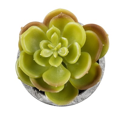 GloboStar® Artificial Garden SUCCULENT SEDEVERIA 21021 Διακοσμητικό Φυτό Παχύφυτο Σεντεβέρια Υ8.5cm GloboStar® Artificial Garden SUCCULENT SEDEVERIA 21021 Διακοσμητικό Φυτό Παχύφυτο Σεντεβέρια Υ8.5cm