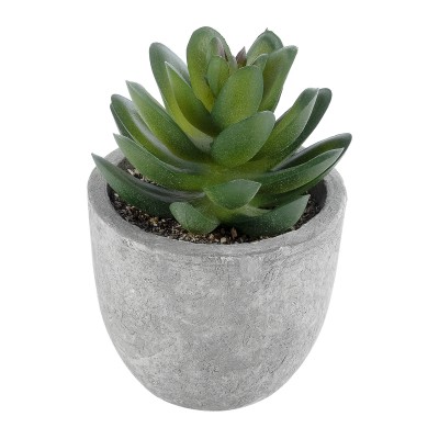 GloboStar® Artificial Garden SUCCULENT SEDEVERIA 21023 Διακοσμητικό Φυτό Παχύφυτο Σεντεβέρια Υ10cm GloboStar® Artificial Garden SUCCULENT SEDEVERIA 21023 Διακοσμητικό Φυτό Παχύφυτο Σεντεβέρια Υ10cm