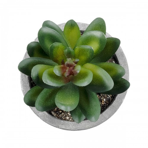 GloboStar® Artificial Garden SUCCULENT SEDEVERIA 21023 Διακοσμητικό Φυτό Παχύφυτο Σεντεβέρια Υ10cm GloboStar® Artificial Garden SUCCULENT SEDEVERIA 21023 Διακοσμητικό Φυτό Παχύφυτο Σεντεβέρια Υ10cm
