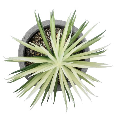 GloboStar® Artificial Garden SUCCULENT SENECIO 21024 Διακοσμητικό Φυτό Παχύφυτο Σενέκιο Υ12cm GloboStar® Artificial Garden SUCCULENT SENECIO 21024 Διακοσμητικό Φυτό Παχύφυτο Σενέκιο Υ12cm
