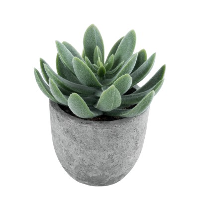 GloboStar® Artificial Garden SUCCULENT SEDEVERIA 21025 Διακοσμητικό Φυτό Παχύφυτο Σεντεβέρια Υ10.5cm GloboStar® Artificial Garden SUCCULENT SEDEVERIA 21025 Διακοσμητικό Φυτό Παχύφυτο Σεντεβέρια Υ10.5cm
