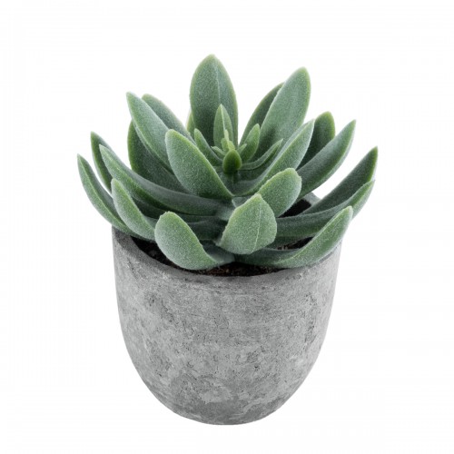 GloboStar® Artificial Garden SUCCULENT SEDEVERIA 21025 Διακοσμητικό Φυτό Παχύφυτο Σεντεβέρια Υ10.5cm GloboStar® Artificial Garden SUCCULENT SEDEVERIA 21025 Διακοσμητικό Φυτό Παχύφυτο Σεντεβέρια Υ10.5cm