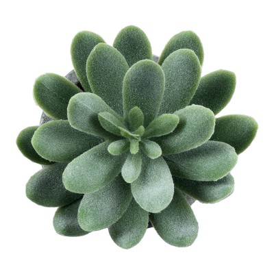 GloboStar® Artificial Garden SUCCULENT SEDEVERIA 21025 Διακοσμητικό Φυτό Παχύφυτο Σεντεβέρια Υ10.5cm GloboStar® Artificial Garden SUCCULENT SEDEVERIA 21025 Διακοσμητικό Φυτό Παχύφυτο Σεντεβέρια Υ10.5cm