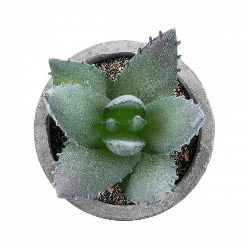 GloboStar® Artificial Garden SUCCULENT ALOE 21026 Διακοσμητικό Φυτό Παχύφυτο Αλόη Υ10.5cm GloboStar® Artificial Garden SUCCULENT ALOE 21026 Διακοσμητικό Φυτό Παχύφυτο Αλόη Υ10.5cm
