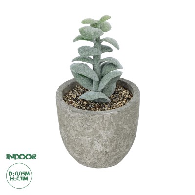 GloboStar® Artificial Garden SUCCULENT SEDEVERIA POTTED PLANT 21027 Διακοσμητικό Φυτό Σεδεβέρια Φ5 x Υ11cm GloboStar® Artificial Garden SUCCULENT SEDEVERIA POTTED PLANT 21027 Διακοσμητικό Φυτό Σεδεβέρια Φ5 x Υ11cm