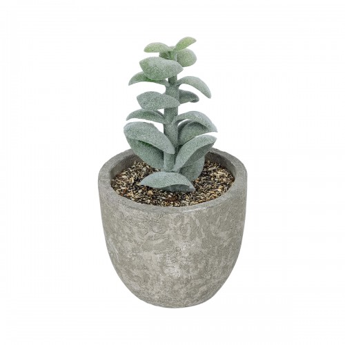 GloboStar® Artificial Garden SUCCULENT SEDEVERIA POTTED PLANT 21027 Διακοσμητικό Φυτό Σεδεβέρια Φ5 x Υ11cm GloboStar® Artificial Garden SUCCULENT SEDEVERIA POTTED PLANT 21027 Διακοσμητικό Φυτό Σεδεβέρια Φ5 x Υ11cm