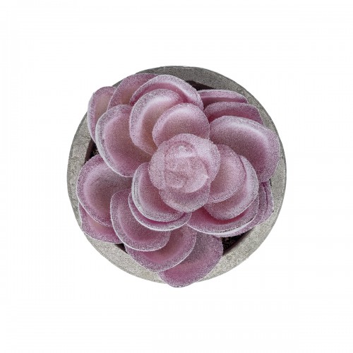 GloboStar® Artificial Garden SUCCULENT SEDEVERIA POTTED PLANT 21028 Διακοσμητικό Φυτό Σεδεβέρια Φ5x Υ11cm GloboStar® Artificial Garden SUCCULENT SEDEVERIA POTTED PLANT 21028 Διακοσμητικό Φυτό Σεδεβέρια Φ5x Υ11cm