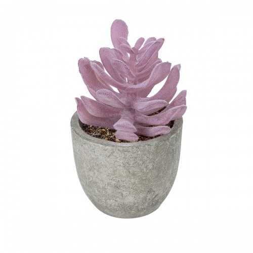 GloboStar® Artificial Garden SUCCULENT CRASSULA POTTED PLANT 21029 Διακοσμητικό Φυτό Κρασούλα Φ7 x Υ10,5cm GloboStar® Artificial Garden SUCCULENT CRASSULA POTTED PLANT 21029 Διακοσμητικό Φυτό Κρασούλα Φ7 x Υ10,5cm