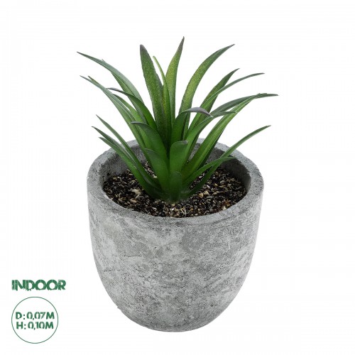 GloboStar® Artificial Garden SUCCULENT ALOE 21030 Διακοσμητικό Φυτό Παχύφυτο Αλόη Υ10cm GloboStar® Artificial Garden SUCCULENT ALOE 21030 Διακοσμητικό Φυτό Παχύφυτο Αλόη Υ10cm