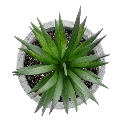 GloboStar® Artificial Garden SUCCULENT ALOE 21030 Διακοσμητικό Φυτό Παχύφυτο Αλόη Υ10cm GloboStar® Artificial Garden SUCCULENT ALOE 21030 Διακοσμητικό Φυτό Παχύφυτο Αλόη Υ10cm