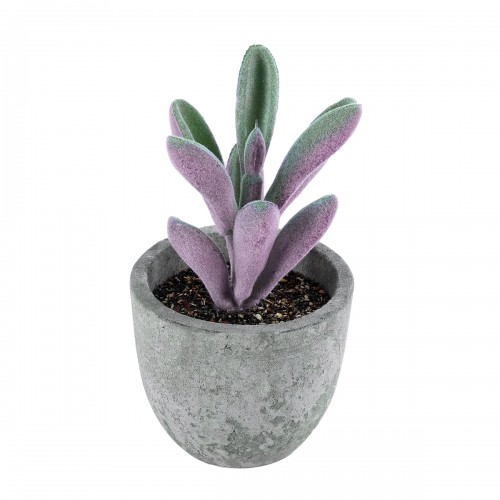 GloboStar® Artificial Garden SUCCULENT CRASULLA 21031 Διακοσμητικό Φυτό Παχύφυτο Κράσουλα Υ11cm GloboStar® Artificial Garden SUCCULENT CRASULLA 21031 Διακοσμητικό Φυτό Παχύφυτο Κράσουλα Υ11cm