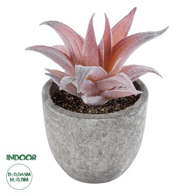 GloboStar® Artificial Garden SUCCULENT ALOE 21032 Διακοσμητικό Φυτό Παχύφυτο Αλόη Υ11cm GloboStar® Artificial Garden SUCCULENT ALOE 21032 Διακοσμητικό Φυτό Παχύφυτο Αλόη Υ11cm
