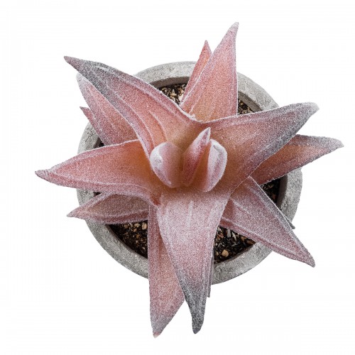 GloboStar® Artificial Garden SUCCULENT ALOE 21032 Διακοσμητικό Φυτό Παχύφυτο Αλόη Υ11cm GloboStar® Artificial Garden SUCCULENT ALOE 21032 Διακοσμητικό Φυτό Παχύφυτο Αλόη Υ11cm