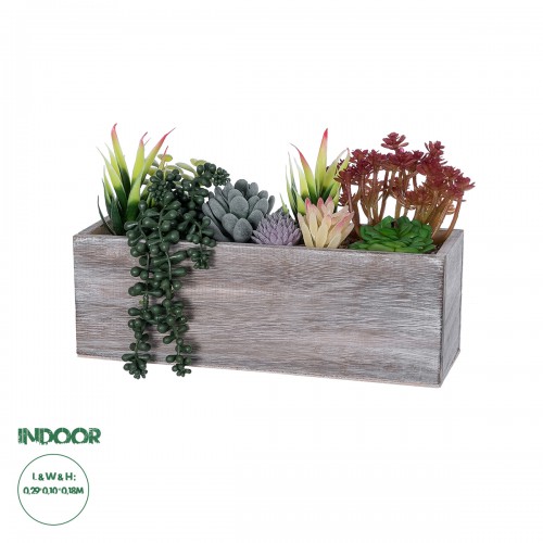 GloboStar® Artificial Garden SUCCULENT VARIUS PLANT POTTED 21033 Διακοσμητικό Φυτό Μίξ Μ32 x Υ29cm Διακόσμηση - Φως - Χαλιά GloboStar® Artificial Garden SUCCULENT VARIUS PLANT POTTED 21033 Διακοσμητικό Φυτό Μίξ Μ32 x Υ29cm Διακόσμηση - Φως - Χαλιά
