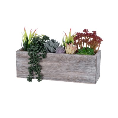 GloboStar® Artificial Garden SUCCULENT VARIUS PLANT POTTED 21033 Διακοσμητικό Φυτό Μίξ Μ29 x Π10 x Υ18cm GloboStar® Artificial Garden SUCCULENT VARIUS PLANT POTTED 21033 Διακοσμητικό Φυτό Μίξ Μ29 x Π10 x Υ18cm