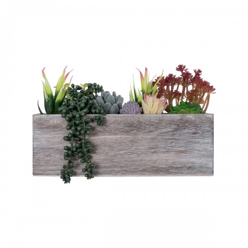 GloboStar® Artificial Garden SUCCULENT VARIUS PLANT POTTED 21033 Διακοσμητικό Φυτό Μίξ Μ32 x Υ29cm Διακόσμηση - Φως - Χαλιά GloboStar® Artificial Garden SUCCULENT VARIUS PLANT POTTED 21033 Διακοσμητικό Φυτό Μίξ Μ32 x Υ29cm Διακόσμηση - Φως - Χαλιά