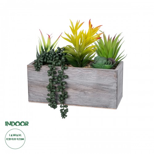 GloboStar® Artificial Garden SUCCULENT VARIUS PLANT POTTED 21034 Διακοσμητικό Φυτό Μίξ Μ25 x Υ22cm Διακόσμηση - Φως - Χαλιά