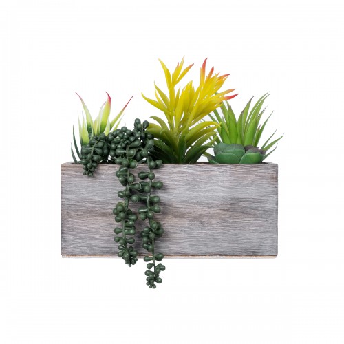 GloboStar® Artificial Garden SUCCULENT VARIUS PLANT POTTED 21034 Διακοσμητικό Φυτό Μίξ Μ25 x Υ22cm Διακόσμηση - Φως - Χαλιά