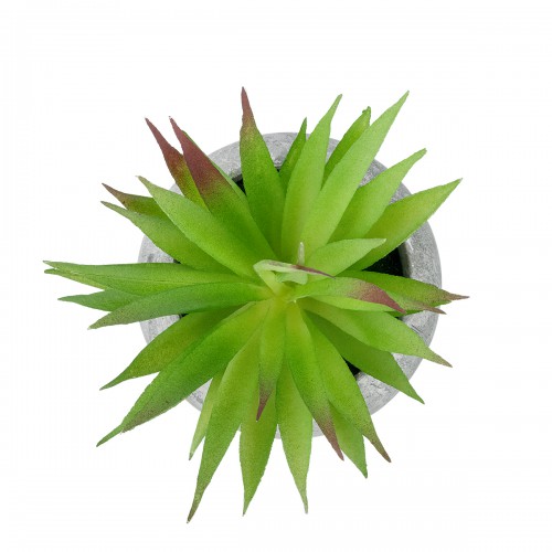 GloboStar® Artificial Garden AIR PLANT TILLANDSIA POTTED PLANT 21036 Διακοσμητικό Φυτό Τιλάντσια Φ12 x Υ15cm GloboStar® Artificial Garden AIR PLANT TILLANDSIA POTTED PLANT 21036 Διακοσμητικό Φυτό Τιλάντσια Φ12 x Υ15cm