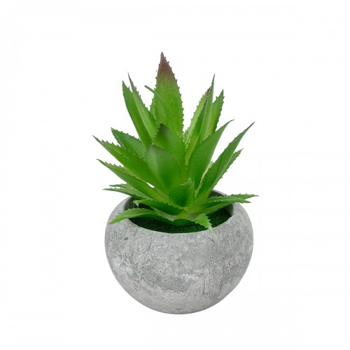 GloboStar® Artificial Garden SUCCULENT ALOE POTTED PLANT 21037 Διακοσμητικό Φυτό Αλόη Φ10 x Υ15cm Διακόσμηση - Φως - Χαλιά GloboStar® Artificial Garden SUCCULENT ALOE POTTED PLANT 21037 Διακοσμητικό Φυτό Αλόη Φ10 x Υ15cm Διακόσμηση - Φως - Χαλιά