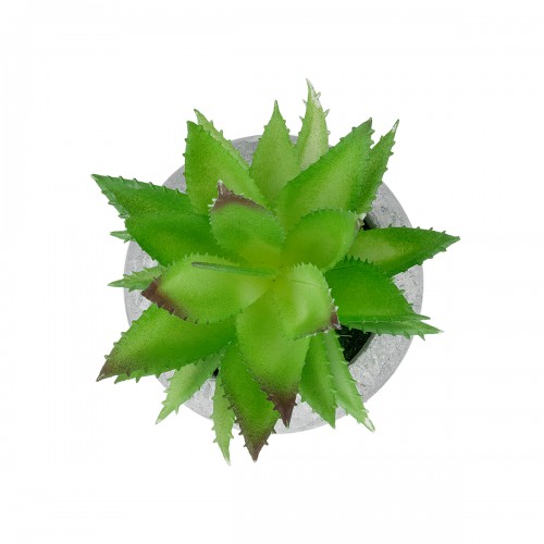 GloboStar® Artificial Garden SUCCULENT ALOE POTTED PLANT 21037 Διακοσμητικό Φυτό Αλόη Φ10 x Υ15cm Διακόσμηση - Φως - Χαλιά GloboStar® Artificial Garden SUCCULENT ALOE POTTED PLANT 21037 Διακοσμητικό Φυτό Αλόη Φ10 x Υ15cm Διακόσμηση - Φως - Χαλιά