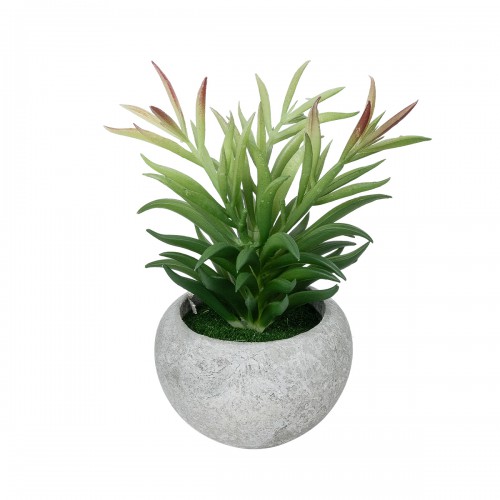 GloboStar® Artificial Garden SUCCULENT CRASSULA POTTED PLANT 21038 Διακοσμητικό Φυτό Κρασούλα Φ10 x Υ17cm GloboStar® Artificial Garden SUCCULENT CRASSULA POTTED PLANT 21038 Διακοσμητικό Φυτό Κρασούλα Φ10 x Υ17cm