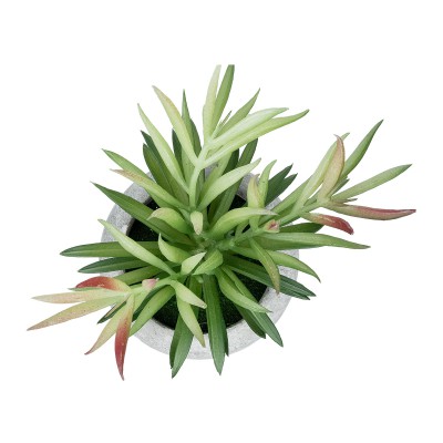 GloboStar® Artificial Garden SUCCULENT CRASSULA POTTED PLANT 21038 Διακοσμητικό Φυτό Κρασούλα Φ10 x Υ17cm GloboStar® Artificial Garden SUCCULENT CRASSULA POTTED PLANT 21038 Διακοσμητικό Φυτό Κρασούλα Φ10 x Υ17cm