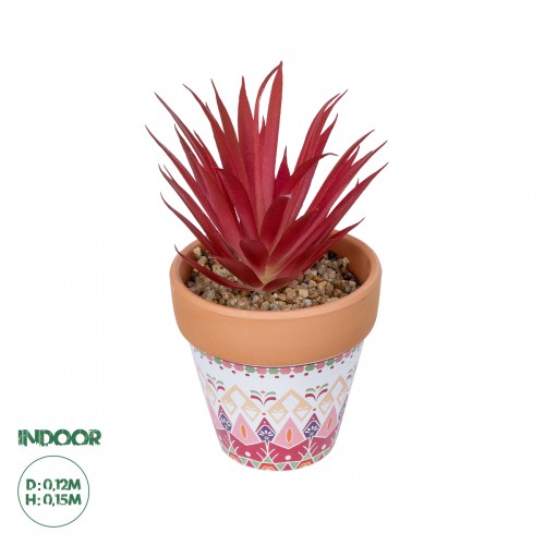 GloboStar® Artificial Garden AIR PLANT NEOPHYTUM POTTED PLANT 21042 Διακοσμητικό Φυτό Νεόφυτο Φ12 x Υ15cm GloboStar® Artificial Garden AIR PLANT NEOPHYTUM POTTED PLANT 21042 Διακοσμητικό Φυτό Νεόφυτο Φ12 x Υ15cm